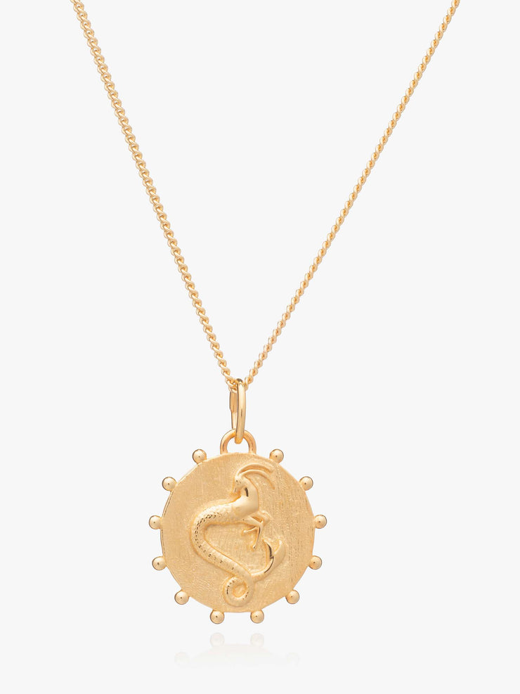 Rachel Jackson Zodiac Art Coin Necklace - Capricorn - Gold